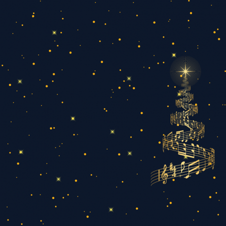 Accensione Albero e Canti Luci di Natale