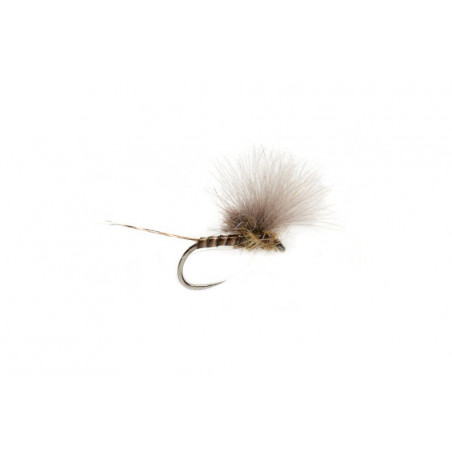 Mosca CDC Olive Quill