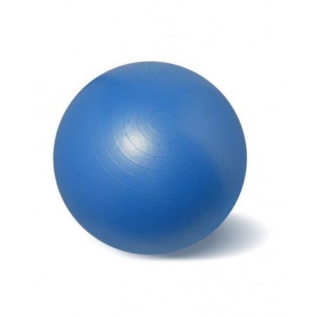 Palla Gym Ball