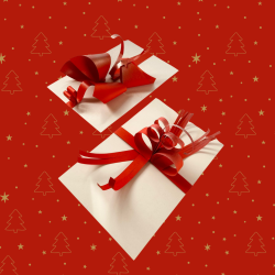 Laboratorio: Un Natale con i Fiocchi