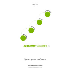 Poster motivazionale - la costanza