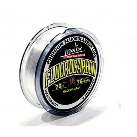 Filo Fluorocarbon 70 m