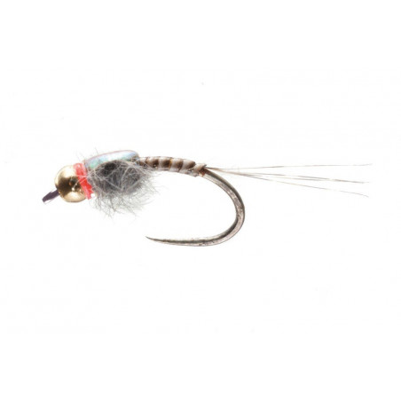 Mosca Quill Nymph Flashback...