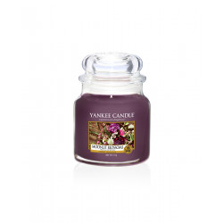 Yankee Candle - Moonlit blossom
